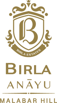 Birla Anayu Logo