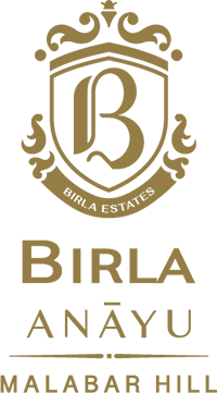 Birla Anayu Logo